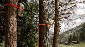 SMACH Val dl Ert St.Martin in Thurn