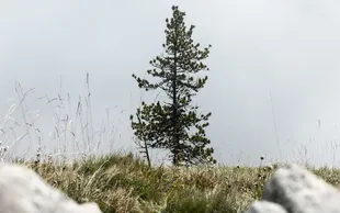 Tobias rademacher 6xr Rw5 O6 Ax Q unsplash 1