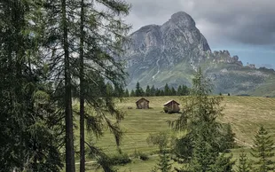 Armentara IMG 3600 GW