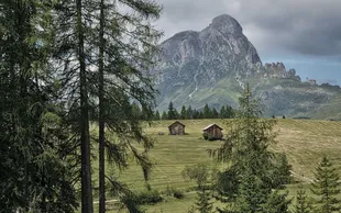 Armentara IMG 3600 GW