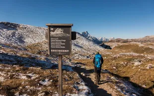 Sennes hendrik morkel qa Of 6 BB Xio unsplash