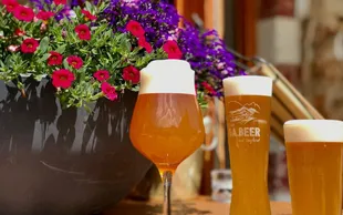 Rifugio Lavarella 116591075 3604539512912735 8488936559556156798 n