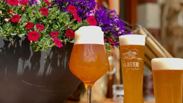 Rifugio Lavarella 116591075 3604539512912735 8488936559556156798 n