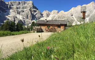 Utia Ciampcios FB ciampcios294158012 475518541243170 8761647420889966618 n