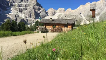 Utia Ciampcios FB ciampcios294158012 475518541243170 8761647420889966618 n